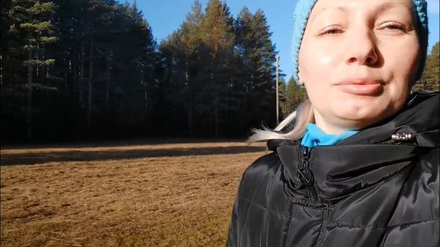 Мы снова в лесу 🌲