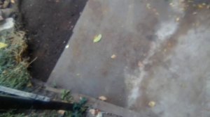 Доделал площадку возле колодца