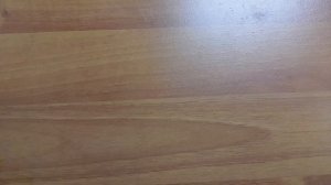 СП "Радуга 4" Оранжевая неделя, участник #4.