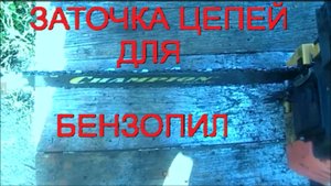 Заточка цепи для бензиновой пилы своими руками