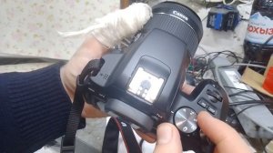 Canon EOS-250d. Краткий обзор фотоаппарата.