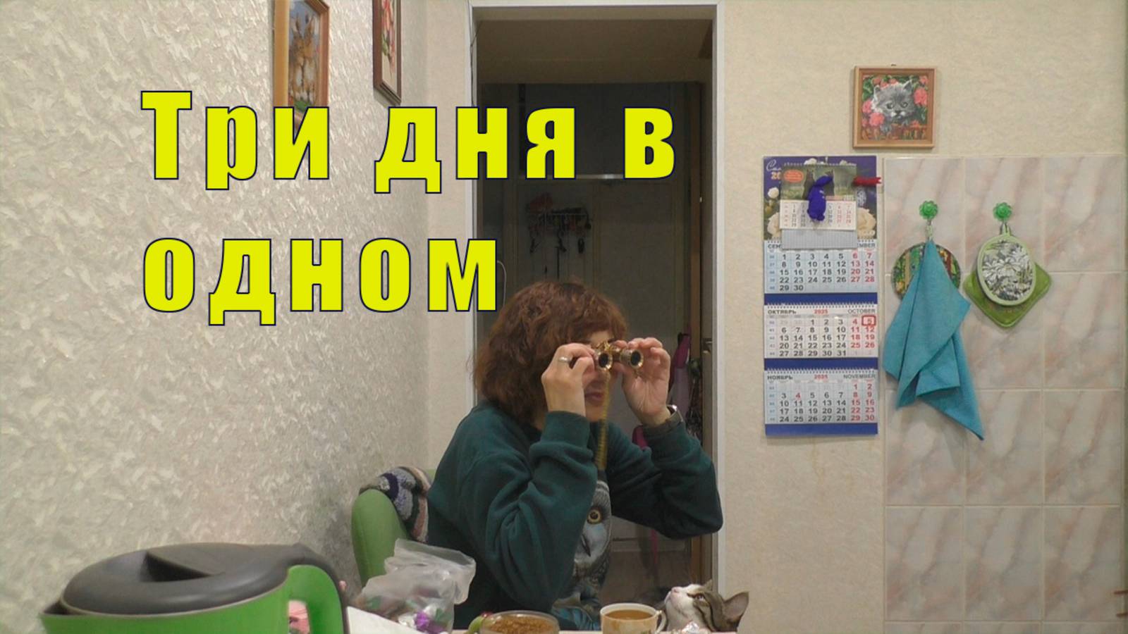 МНЕ ВСЕ НАДО / САМ НЕ ХОЧЕШЬ - ПЛАТИ / 05 и 06 и 07 октября 2025