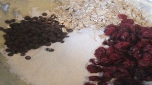 Овсяное печенье с клюквой и шоколадом