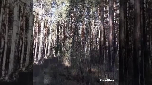 14 октября 2023 г. смотреть онлайн