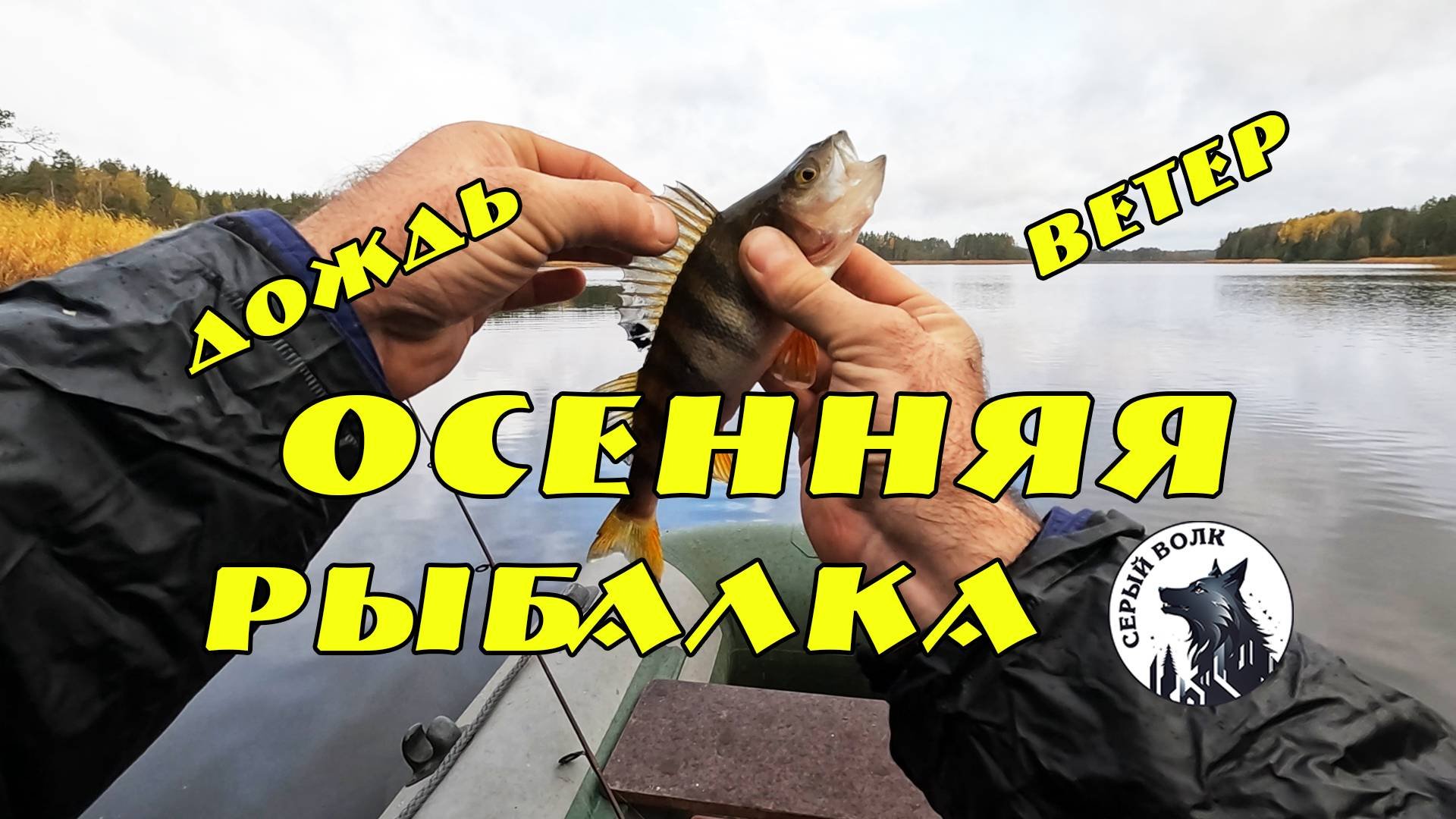 Осенняя РЫБАЛКА на спиннинг