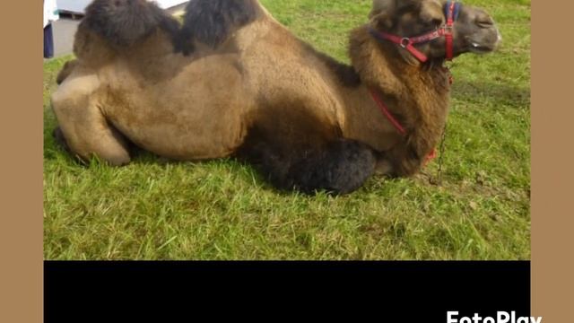 9 марта 2025 г. смотреть онлайн