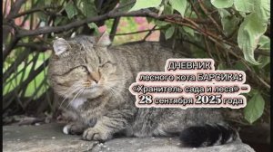 ДНЕВНИК лесного кота Барсика: «Хранитель сада и леса» - 28 сентября 2025 года