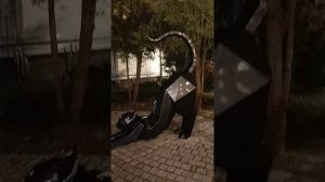 Вечер. Идём в центр Зеленоградска искать дом кошек