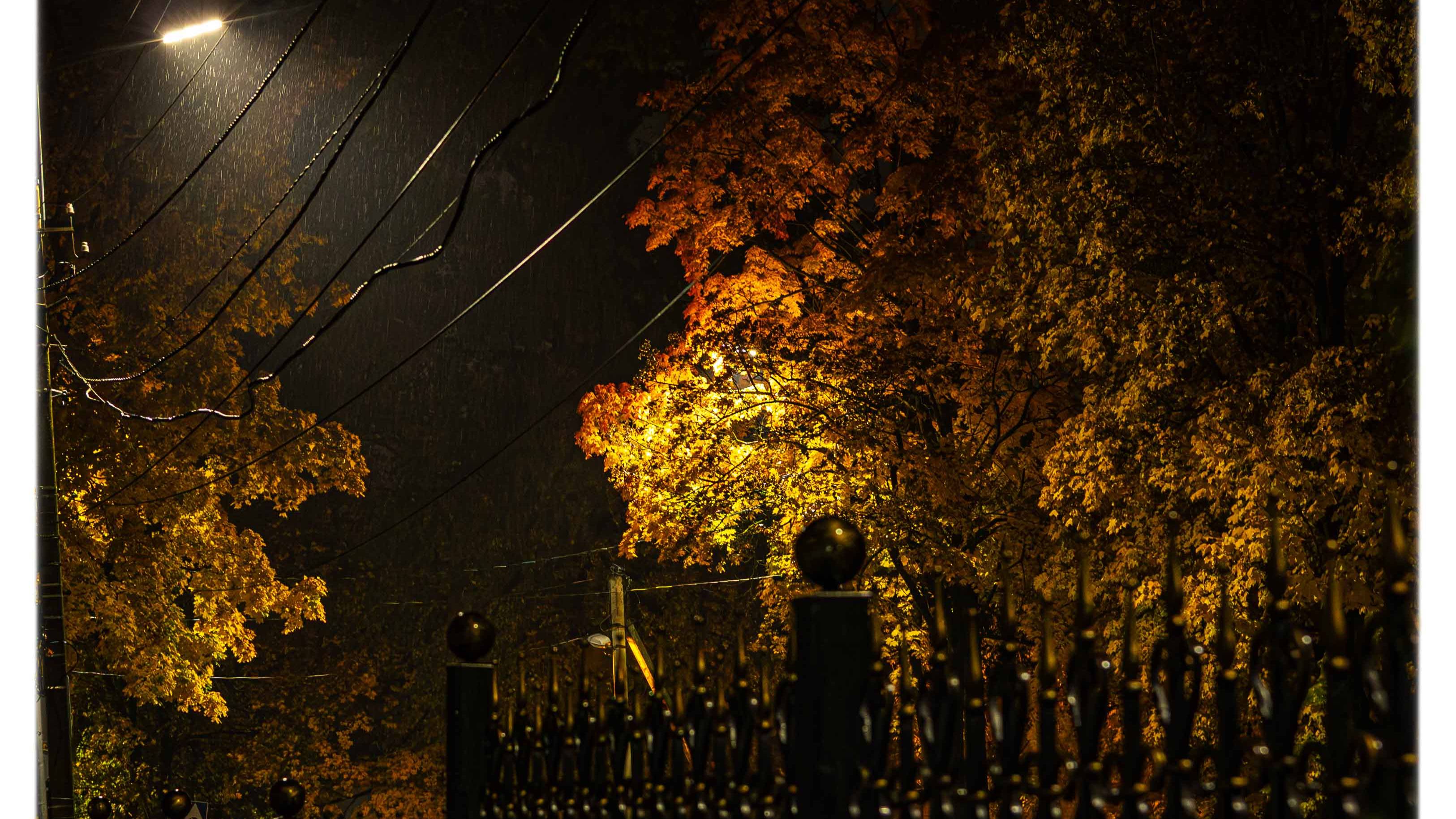 ФотоПарк и Canon R-8...