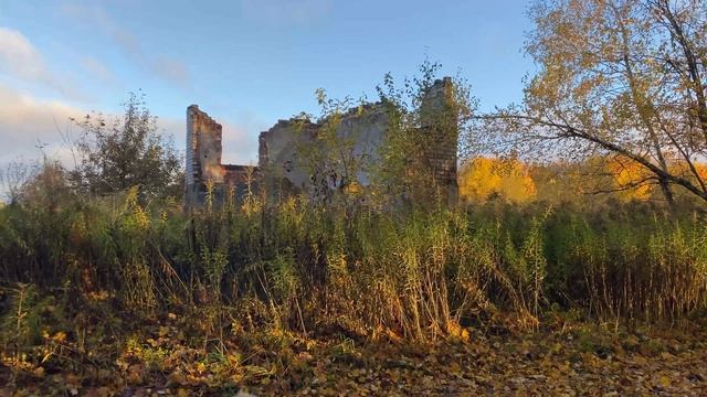 Арчи смотреть онлайн