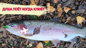 12.10.25 Рыбалочка в Коротыгино.