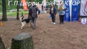 ЦЕРРИ БОЙ -выражено ЛРСmp4