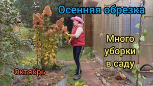 🏡 Жизнь в деревне 11 октября 2025