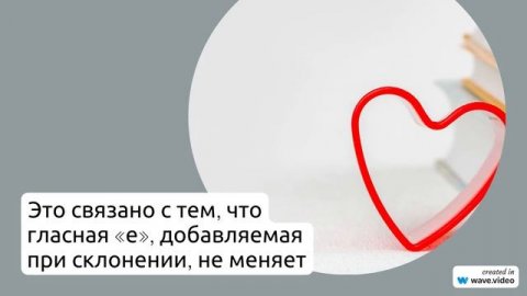 Исследуем Фамилию Астер: происхождение, история, значение и особенности склонения