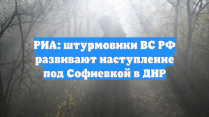РИА: штурмовики ВС РФ развивают наступление под Софиевкой в ДНР