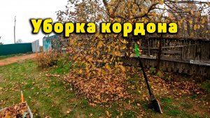 Уборка кордона. Подготовка к зиме
