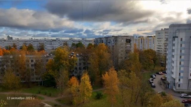 Новейший нейроклип 
