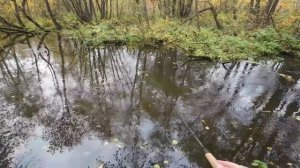 В поисках рыбы с mepps AGLIA Mouche silver.mp4