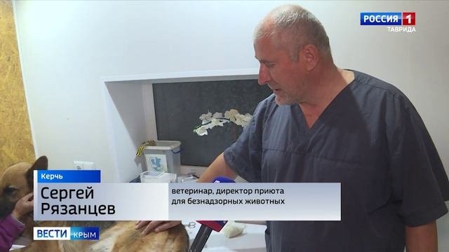 Женщина в Керчи бросила немецкую овчарку, привязав её к дорожному знаку на оживленном перекрестке