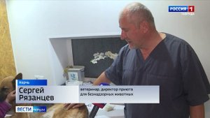 Женщина в Керчи бросила немецкую овчарку, привязав её к дорожному знаку на оживленном перекрестке