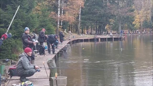Форель продолжает клевать в верхнем горизонте. Клёвое место, Лосиный остров, нижний водоём.