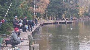 Форель продолжает клевать в верхнем горизонте. Клёвое место, Лосиный остров, нижний водоём.