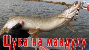 Щука на мандулу. История одного рыболовного дня.......