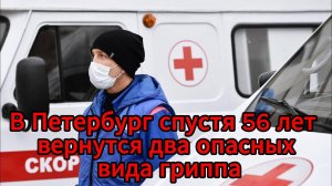 В Петербурге предупредили о двойной угрозе гриппа: «свиной» и «гонконгский» штаммы возвращаются