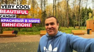 Пинг-понг