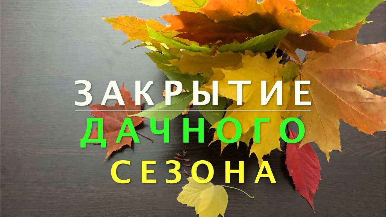 12 ОКТЯБРЯ.ДЕНЬ ПРОЩАНИЯ С  ДАЧЕЙ.ПРИКОЛЬНЫЕ ОТКРЫТКИ