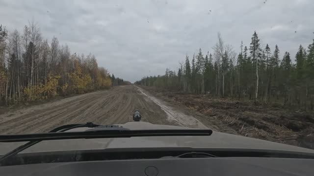 Кенворт - Т660. Осеняя дорога на Усинск