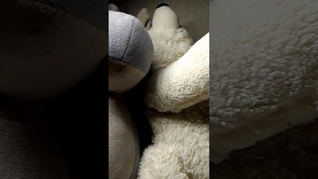 купить или нет, вот в чём вопрос