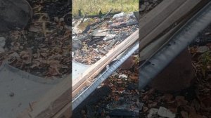 пошли в сарай