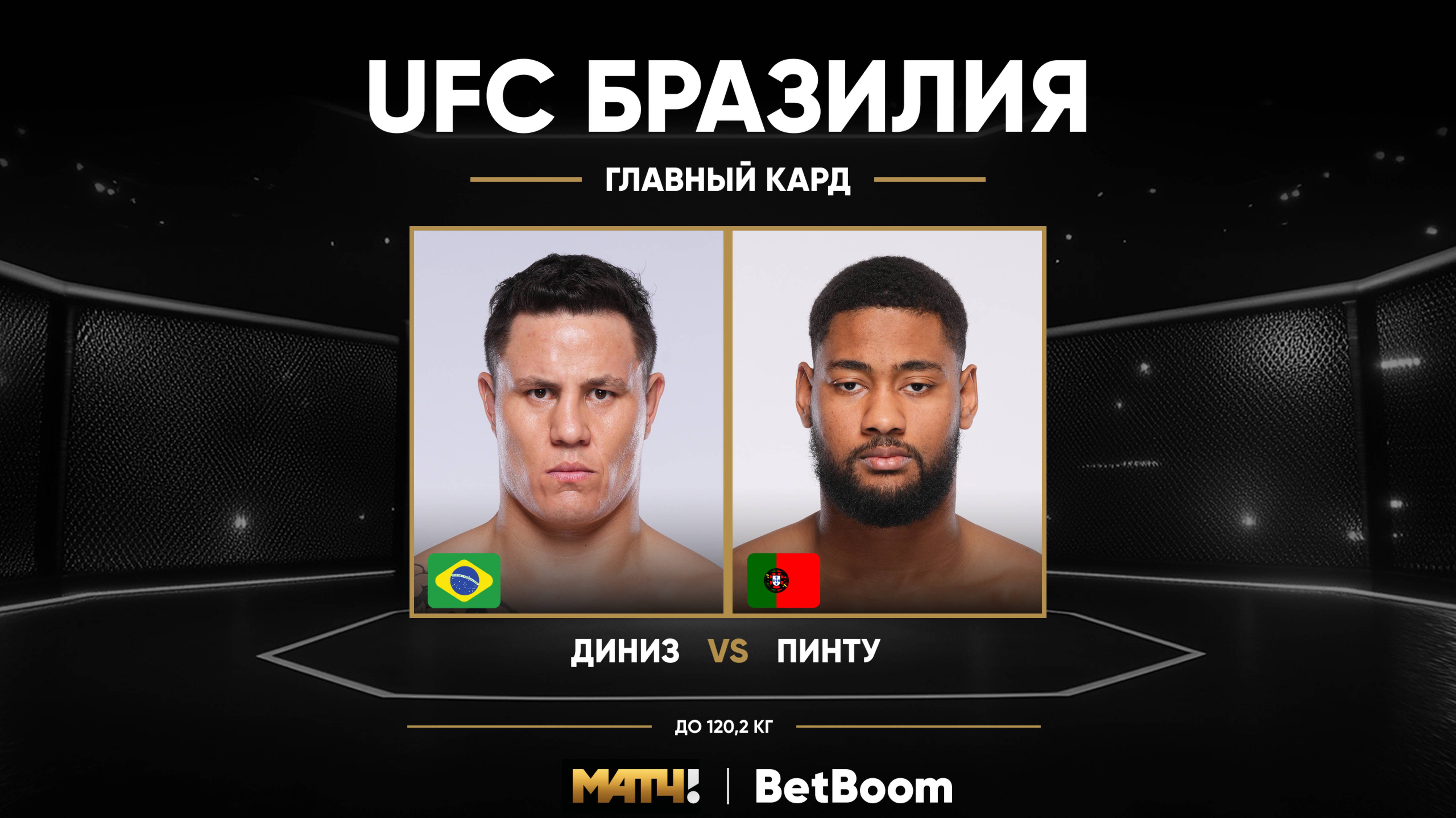 Джоната Диниз против Марио Пинто (видео). UFC Fight Night