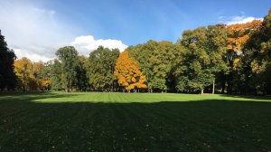 Новый феномен: «Болельщик не клуба, а всей Лиги»