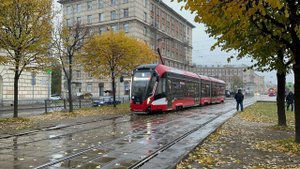 «Золотой осенью!» Трамвай «Невский» (71-932) №7777 на Новочеркасском пр., октябрь 2025 года