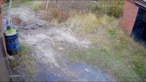 Гражданин с топором