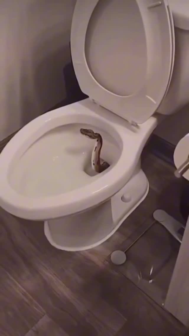 В этом видео всё ужасно🤣🤣🤣💔