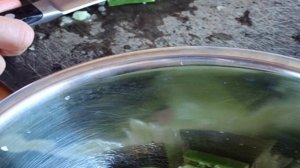 Огурцы в соевом соусе