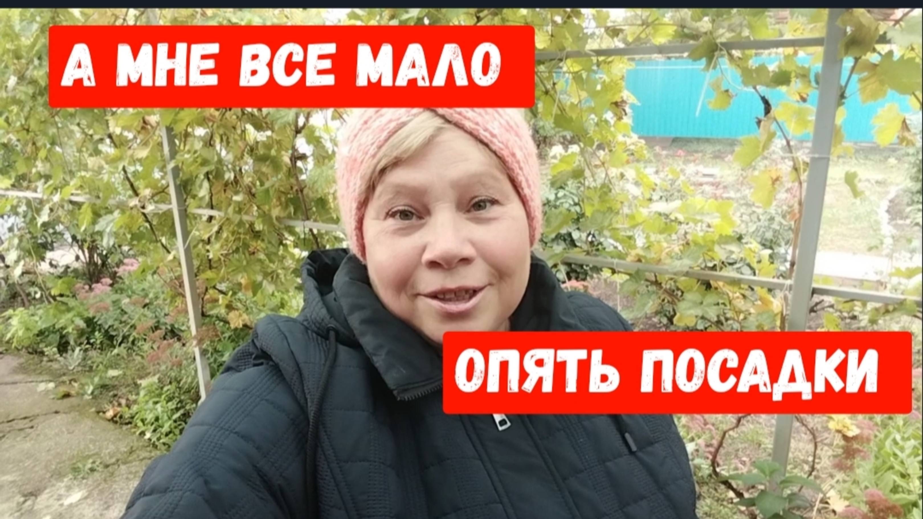 #102🌷А мне все мало/Удобрила деревья/Привезли малину /Дожди на Кубани