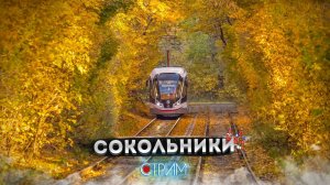Сокольники – СТРИМ