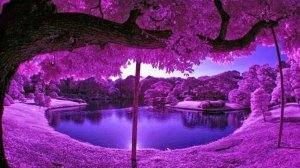 Стрим: Рабочий Вайб Раскрутка Каналов, Музыка ВК, Ответы на Вопросы 🎧💻