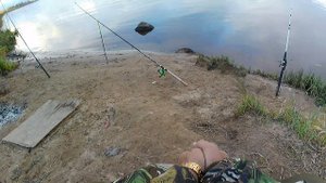 Луга 10.10.25г.