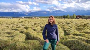 Отзыв франчайзи Альтаирика - Сергиев Посад 2022