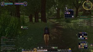 The Lord of the Rings Online, запись стрима. Часть 2.