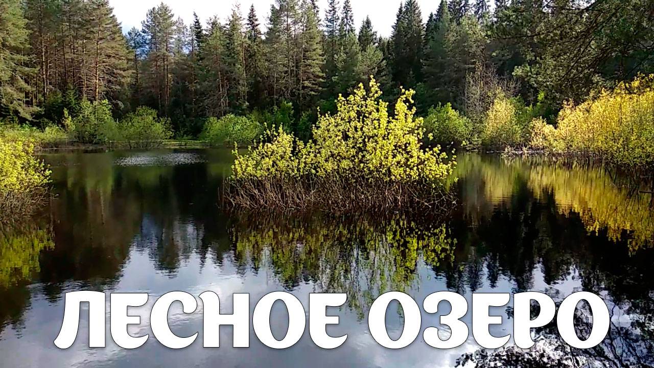 Черное озеро