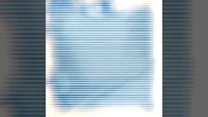 "Pizza Mozzarella. . ." | Эдит Джайро Цеппели