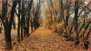 Everything Everywhere Matters To Everything - City of the Sun