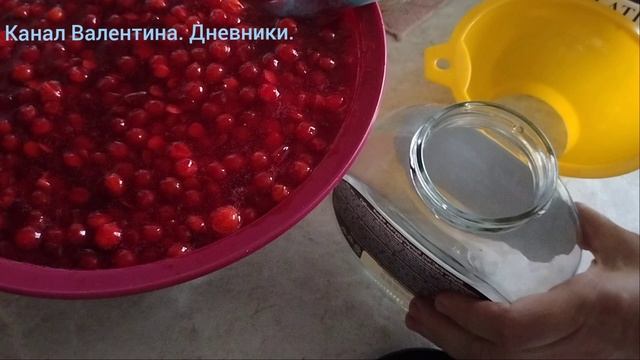10.10.2025. заготовила калину на зиму