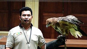 Таиланд. Пхукет. Увлекательное шоу в Птичьем парке.